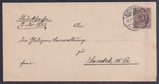 73102) KONITZ Westpreußen 1894 Drucksache nach Landeck