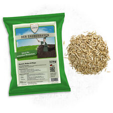 Linsor Zauberrasen Rasensamen