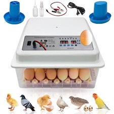 Inkubator 36Eier Brutmaschine