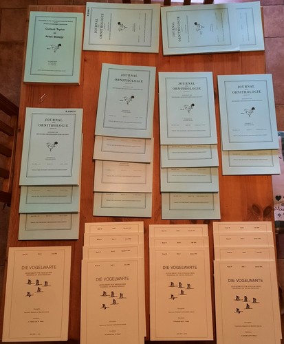 Konvolut journal für - konvolut,