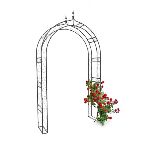 Rosenbogen mit spitze