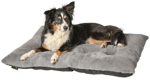 Hunter rockford hundekissen - hunter,