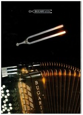 Bugari accordion 1980 - bugari,