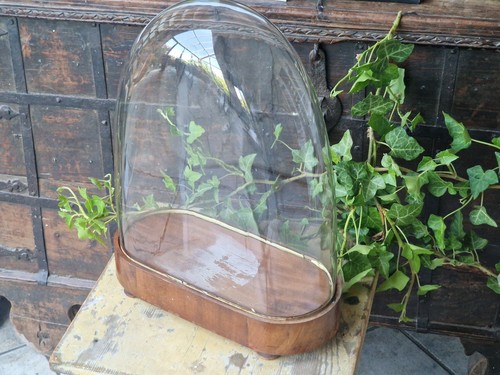 Antiker viktoriaischer glasdom - antiker,