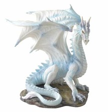 Draconis der weise Drache mit