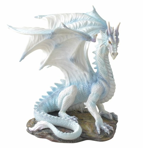 Draconis der weise - drache, mit