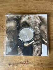 Elephant Big Five Süd Afrika