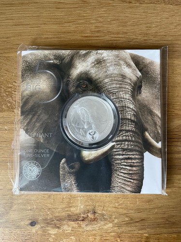 Elephant big five - big, süd