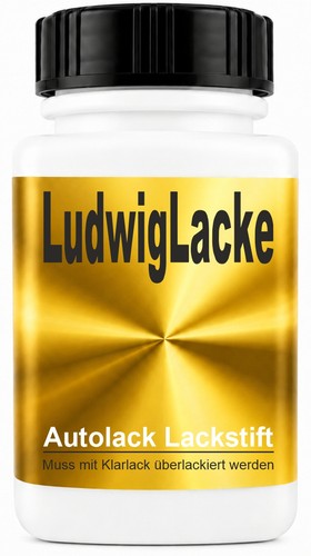 Lackstift für foton motors - lackstift,