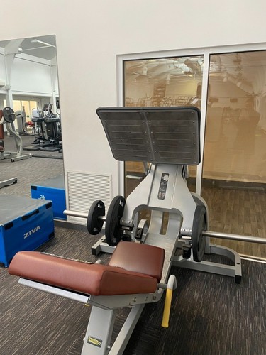 Technogym pure strength leg - technogym,