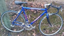 RH 56cm WILIER TRIESTINA