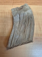 Kleines gebogenes Brett Schwemmholz Treibholz 13 x 6,5 x 1,5 cm