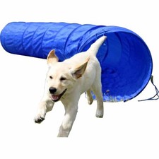 Dobar Agility Tunnel