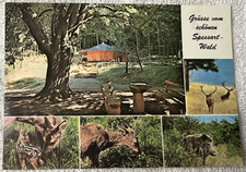 AK Rodberg-Schutzhütte Schöllkrippen Kahlgrund Spessart Rehe Wildschwein Hirsch