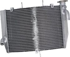 SD-TEC Wasserkühler Kawasaki