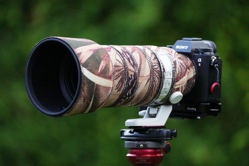 Sony 200mm g oss - sony,
