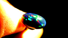Äthiopischer Welo , Black