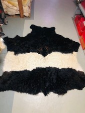 RINDERFELL,BULLENFELL,KALBFELL,CHROMFREI, AUS GERBEREI, GALLOWY- BELTED ,TOP!!