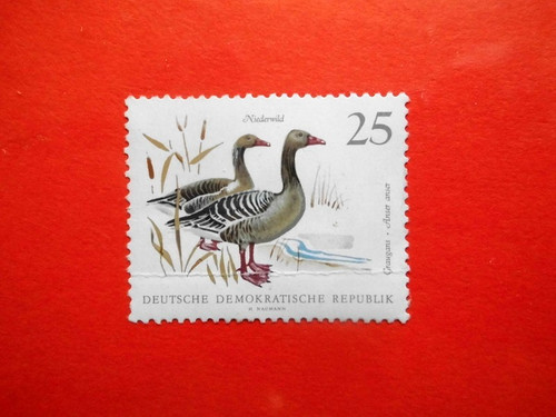 Briefmarken ddr 1968 - briefmarken,