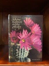Schöne Kakteen richtig