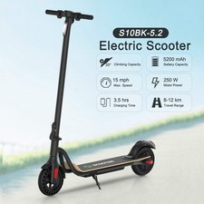 Adult Electric Scooter 250