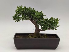 Kunstbaum Bonsai im Topf 17 cm täuschend echte Topfpflanze
