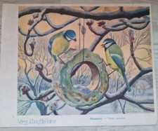 VOSS Margarine Kunstbilder