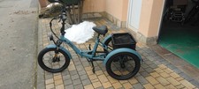 FAFREES 500W 3 Räder Fahrrad