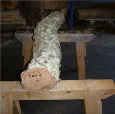 Korkeiche Eiche Baumstamm Korkstamm  Reptilien Holz Rohling Drechselholz 23,26kg