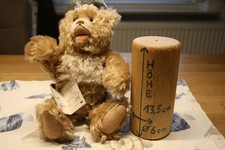 Teddybären