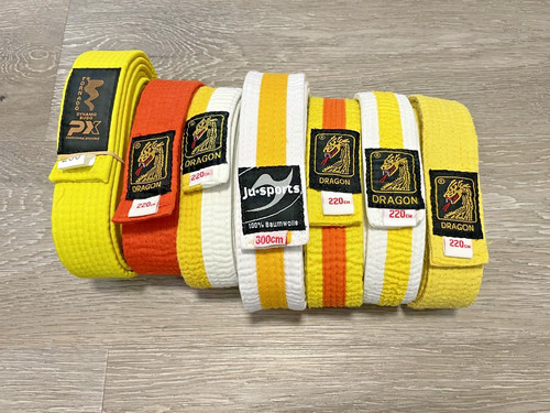 Karate und judo gürtel - judo,