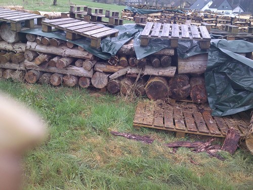 Kaminholz brennholz - 5, kaminholz/brennholz