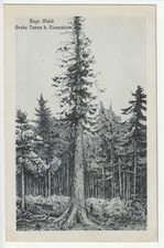 Eisenstein bayerischer - ak,