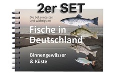 Angebot: 2er SET Fischkarten | Angeln | Fische | Fischbestimmung | 62 Fischarten