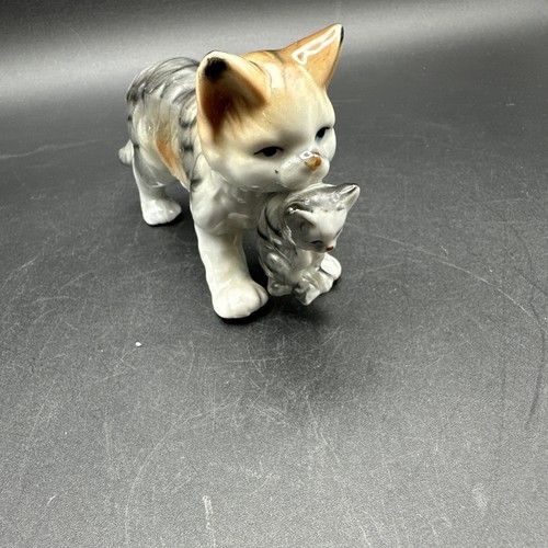 Mutter katze trägt baby - mutter,