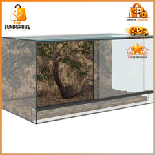 Terrarium transparent 40 - terrarium, 80
