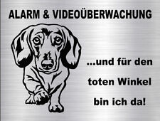 DACKEL Kurzhaardackel Hundewarnschild SCHILD Türschild im Edelstahl-Look #54