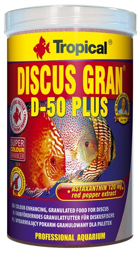 Tropical discus gran - tropical,
