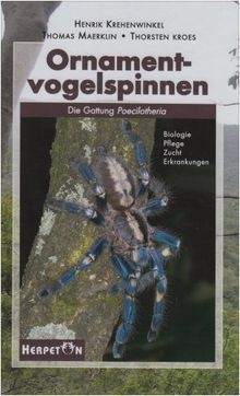 Ornamentvogelspinnen die - ornamentvogelspinnen:,