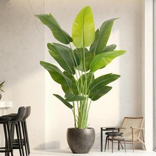 200cm künstliche - 200cm,