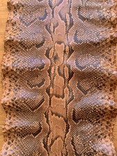 Antikes Schlangenleder / Schlangenhaut (Python), echt, 4 m lang, 43 cm breit