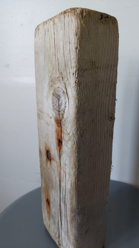 Schwemmholz treibholz holz - schwemmholz, 37