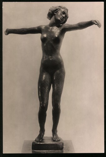 Fotografie bronze statue - fotografie, bronze-statue