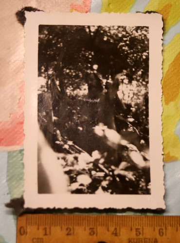 Foto 1948 wurzelsepp mann - 1948,