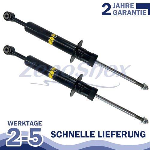 Stoßdämpfer vorne links - 2x,