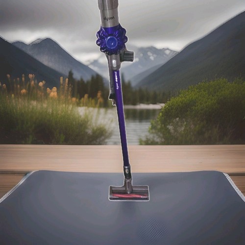 Dyson animal - v6,