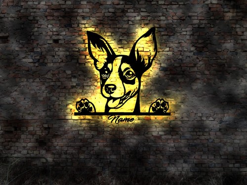 Rattenterrier ratten terrier - ratten,