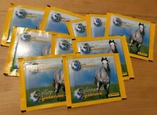 Abenteuer Im Galopp -