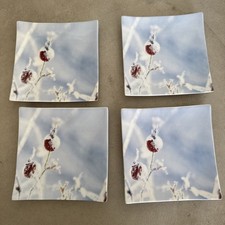 ASA Porzellan Teller Winter Hagebutte Weihnachten Advent 4 x 