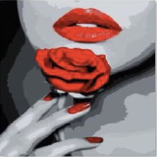 Malen nach Zahlen 40x50 Cm Neu